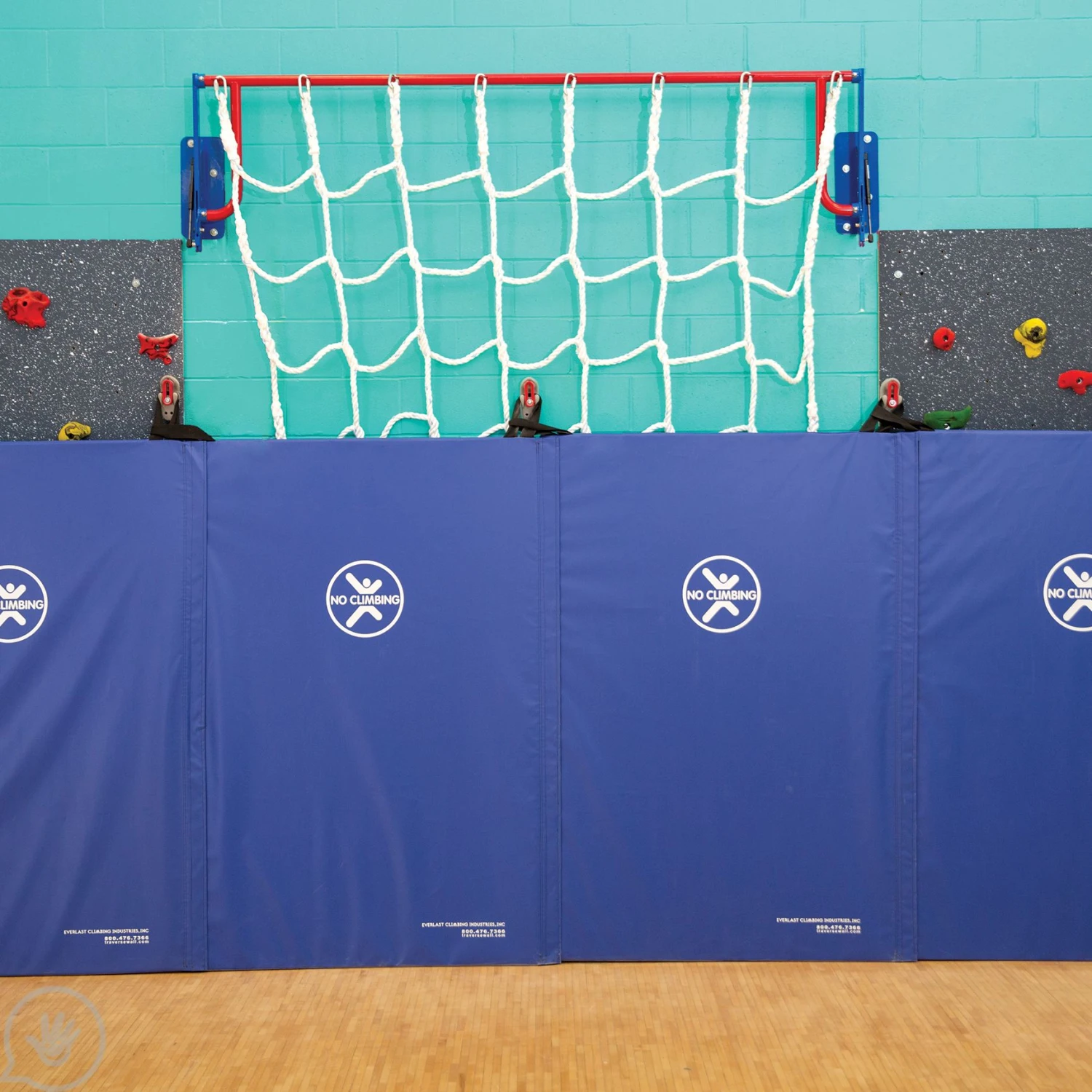 Wild Web 11 Wild Web - Image 11