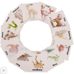 Regulation Animals, ABC's And 123's - Sensory Learning Cards