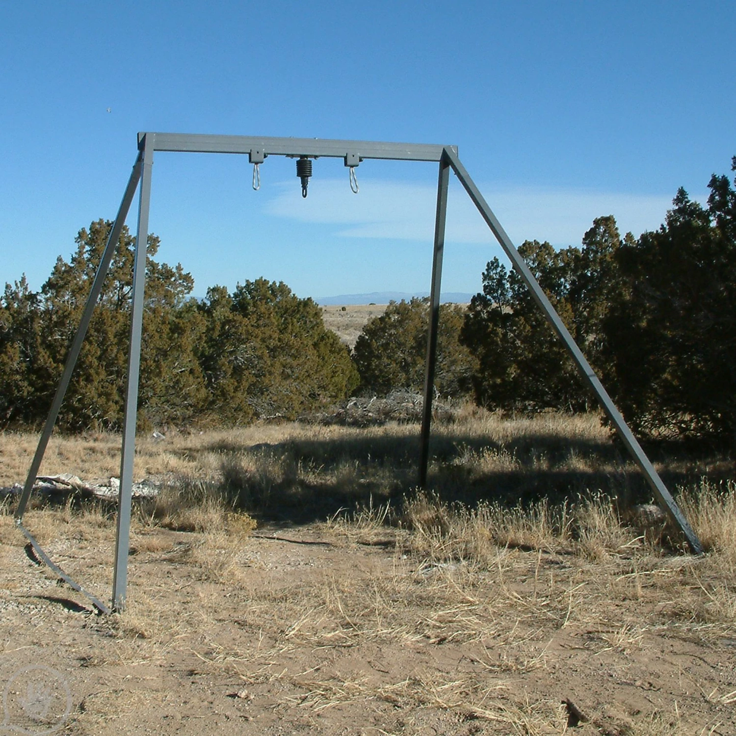VLF Swing Frame 3 VLF Swing Frame - Image 3