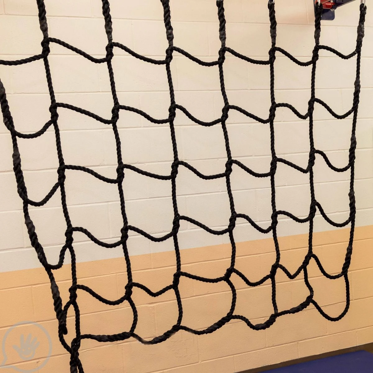 Wild Web 8 Wild Web - Image 8