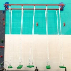 Safari Jungle Gym Swing Steppers