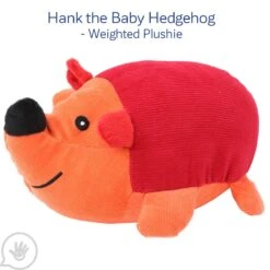 Early Childhood Sensory Toolkit -Children Sensory Toys sp7256 001 label