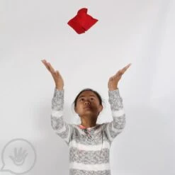 Weighted Tactile Beanbags - Set Of 5 32 Weighted Tactile Beanbags - Set Of 5 -Children Sensory Toys tc1801 textured bean bags 38