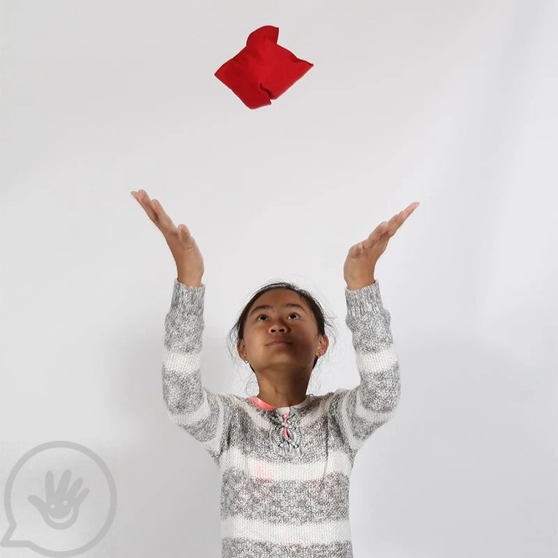 Weighted Tactile Beanbags - Set Of 5 13 Weighted Tactile Beanbags - Set Of 5 - Image 13